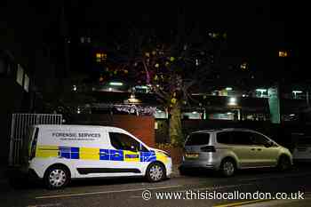 Wood Green double murder: Man to face trial next year