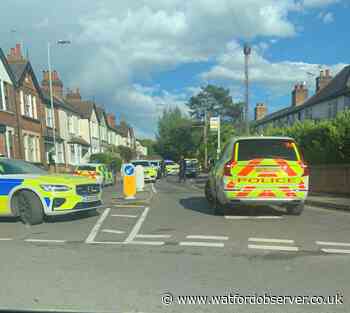 Machete seized as armed police attend incidents in Hertfordshire