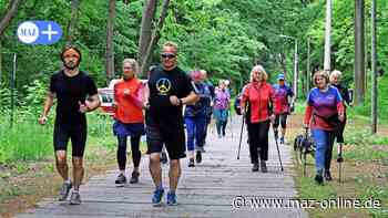 Laufen in Rathenow ohne Zeitnahme und Platzierungen - Märkische Allgemeine Zeitung