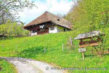 Steinen - Doch Hilfe bei Reetdach-Sanierung - www.verlagshaus-jaumann.de