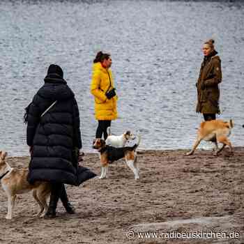 Hunde-Boom in der Hauptstadt - radioeuskirchen.de