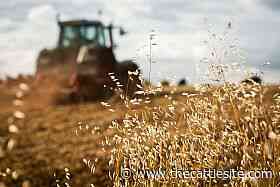 Ukraine farmers continue to face challenges