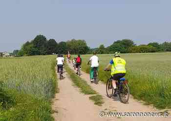 Giornata del Verde Pulito a Saronno, una bella giornata di impegno e collaborazione SaronnoNews - SaronnoNews.it