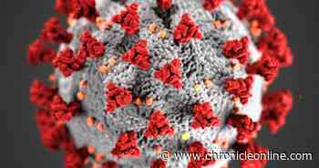 Coronavirus cases continue to rise in Citrus County, Florida, and in US - Citrus County Chronicle