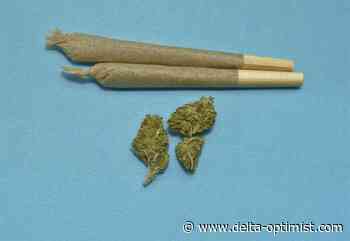 Delta cannabis store applications receive little feedback - Delta Optimist