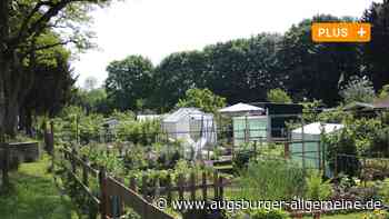 Bobingen/Schwabmünchen: Ab ins Beet: Wo der Urlaub im Grünen beginnt | Schwabmünchner Allgemeine - Augsburger Allgemeine