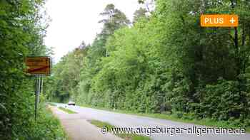 Wehringen/Bobingen: Proteste gegen Rodung: Wehringens Bürgermeister stellt Auwald-Fakten klar | Schwabmünchner Allgemeine - Augsburger Allgemeine