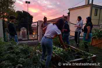 UGorà, a Trieste gli orti urbani hanno un ruolo sociale - Trieste News