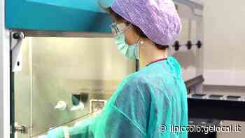 Vaiolo delle scimmie, a Trieste pronto il laboratorio per le diagnosi - Il Piccolo