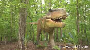 T-Rex Trail opens Saturday at Explore Park - WDBJ