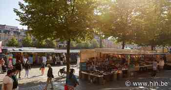Fonskesmèt in Leuven op 27 mei: “We gaan er een echt tropisch feest van maken” - Het Laatste Nieuws
