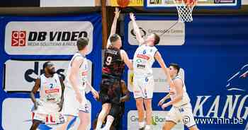 Leuven Bears tegen Kangoeroes Mechelen pas in slotfase onderuit in heroïsche belle - Het Laatste Nieuws