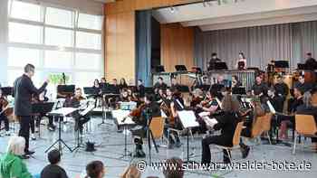 Musikschule Wildberg: Das Wagnis macht sich bezahlt