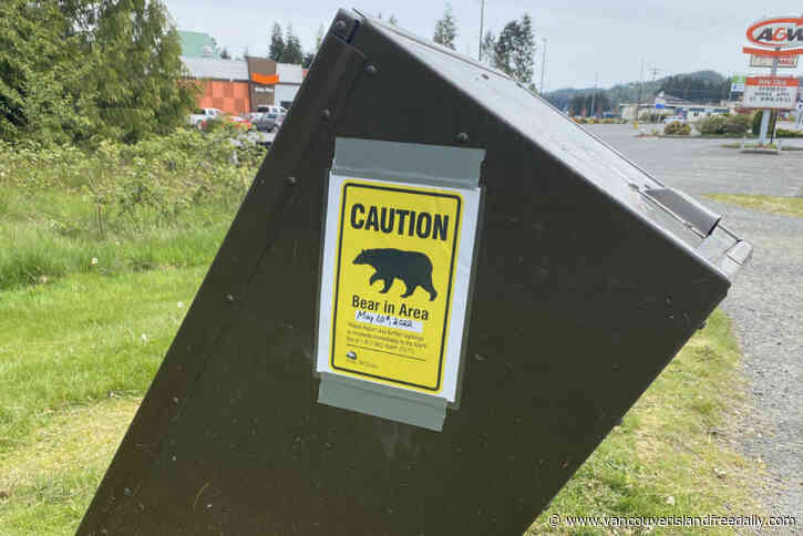 UPDATED: Two black bears euthanized after man aggressively pursued in Port Hardy – Vancouver Island Free Daily - vancouverislandfreedaily.com