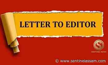 Letters to the Editor: High-level inquiry - Sentinelassam - The Sentinel Assam