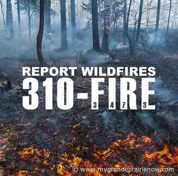 Wildfire danger level now high in Grande Prairie Forest Area - My Grande Prairie Now