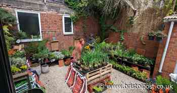 Wild Leaf plant shop on Gloucester Road now has its own inner-city garden centre in the back garden