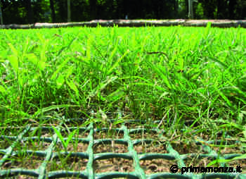 Ecco come proteggere il nostro prato - Prima Monza