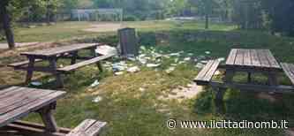 Provocazione Boscherona: «Non pulite - Il Cittadino di Monza e Brianza