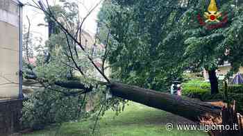 Maltempo in Lombardia: grandine e violenti temporali a Milano e Monza - IL GIORNO