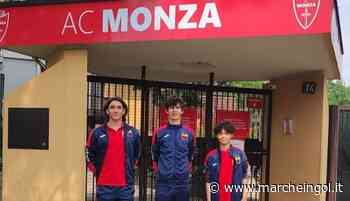Civitanovese: tre giovani rossoblù in prova con il Monza - marcheingol.it