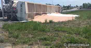 Transport truck spills fertilizer off 401 near Kingston, Ont. - Global News