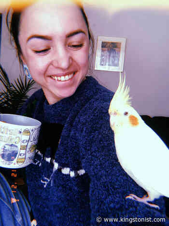 This just in: Kingston reporter reunited with feathered friend - Kingstonist