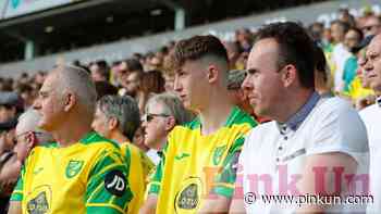 Norwich City: Chris Sutton on Premier League debate - PinkUn