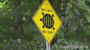 A dozen road signs stolen in Ottawa Valley - CTV News Ottawa