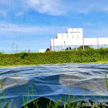 Eidechsen-Ausfahrt Sindelfingen Ost | SZ/BZ - Sindelfinger Zeitung / Böblinger Zeitung