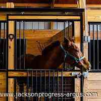 ON THE MARKET: $1.5 million Jasper County equestrian farm boasts 2 acre pond stocked with fish - jacksonprogress-argus