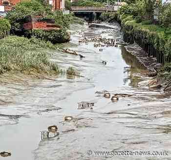 Fury after traffic cones are dumped in River Colne in Colchester