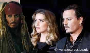 Pirates of the Caribbean star lashes out at 'detested' Amber Heard - supports Johnny Depp
