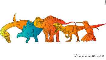 Did dinosaur blood run warm or cold? New study aims to settle the debate