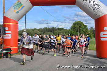 414 Sportler laufen für krebskranke Kinder - Fränkischer Tag