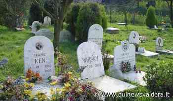 Fdi chiede un cimitero per animali d'affezione - Qui News Valdera