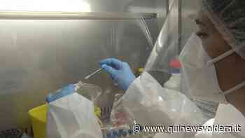 Covid, 34 nuovi casi in 9 Comuni della Valdera - Qui News Valdera