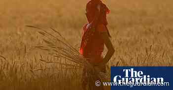 Globalisation of food production has left millions hungry - The Guardian
