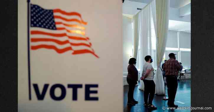 Votes Are in for Georgia Primary - Now We Know if GOP Law Really Did Suppress Voter Turnout
