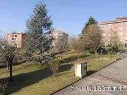 Chieri. Maddalene. Al Parco Levi gli amministratori incontrano i cittadini - CentoTorri