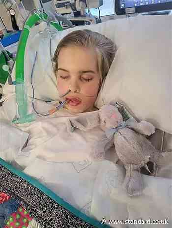 Tests decision due in life support treatment case involving 12-year-old boy