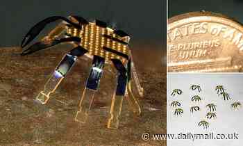 Crabtastic! Adorable robotic crab tinier than a FLEA can bend, twist, crawl and even jump