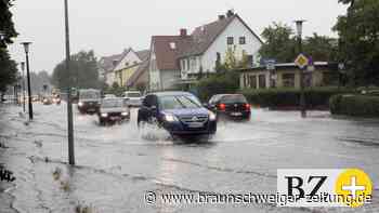 So will sich Wolfsburg dem Klimawandel stellen
