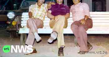 Een kwart van alle inwoners van Lokeren heeft een migratieachtergrond, blijkt uit nieuw rapport - VRT NWS