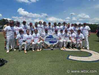 Vidalia wins GHSA state baseball title - WTOC