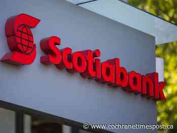 Scotiabank hikes dividend as profit beats expectations - Cochrane Times Post