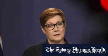 Marise Payne was warned flight caps would strand thousands of Australians overseas