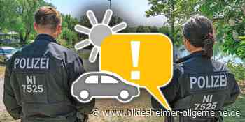 Das wird heute in Hildesheim wichtig: Vatertag, Affenpocken, Schwanennachwuchs - www.hildesheimer-allgemeine.de