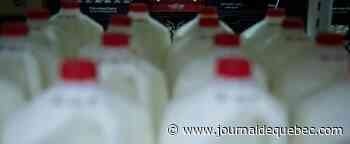 Différend sur les produits laitiers : Washington lance une procédure contre le Canada