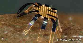 Tiny Robot Crab Doctors Could Roam the Human Body One Day     - CNET